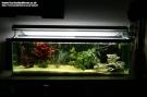1-tank(light).jpg