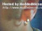 10-ear.jpg