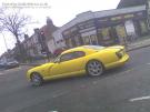 16-yellowflowerdel.jpg