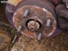 18-cv joint replacement 001.jpg