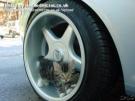 9-cat-in-wheel.jpg
